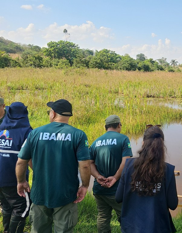 Educação Ambiental do Ibama Foca no Uso de Agrotóxicos em Comunidades Indígenas do MS Imagem do artigo