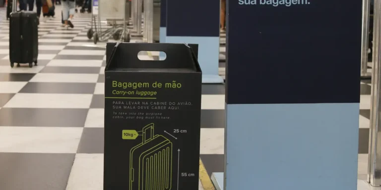 Senado Aprova Gratuidade na Bagagem de Mão em Voos: Entenda a Nova Regra Imagem do artigo