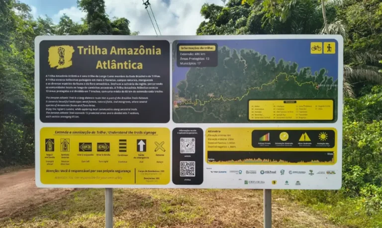Brasil Inaugura a Trilha Amazônia Atlântica: Uma Jornada de 468 km pela Floresta Imagem do artigo