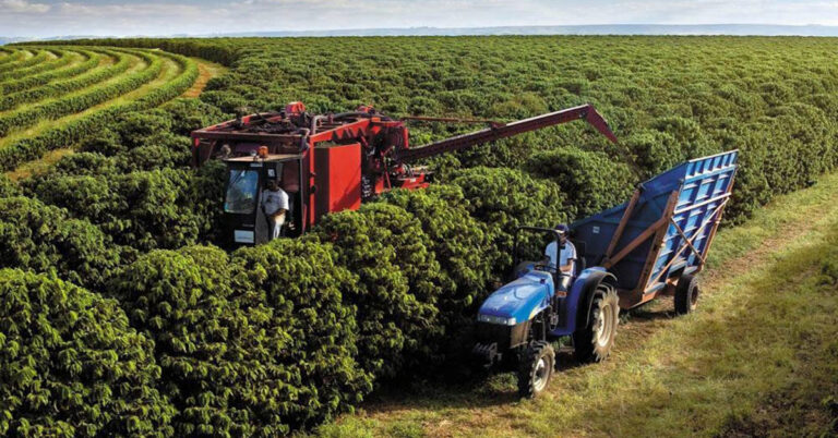 Brasil Registra Menor Desemprego da História e Aumento na Renda do Trabalhador Rural