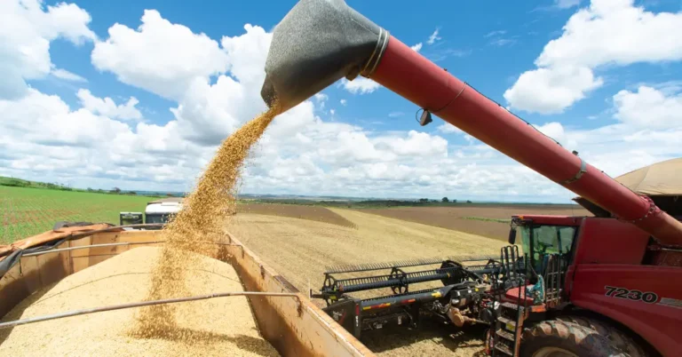 Desafios do Agronegócio até 2026: Expectativas e Preocupações com o Governo Lula