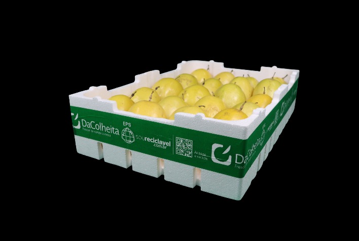 Santa Catarina Lança Colheita do Maracujá com Enfoque em Embalagens Inovadoras Imagem do artigo