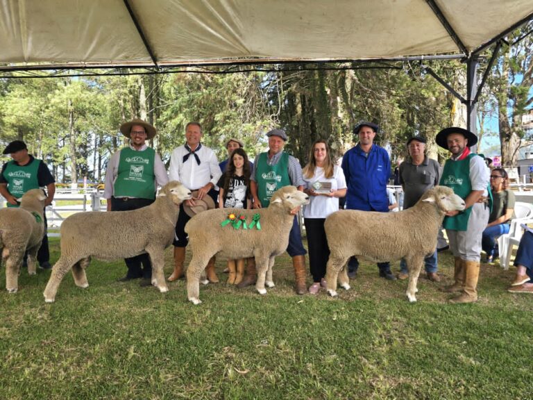 42ª Feovelha: Oportunidades no Agronegócio e Entretenimento com o 'Feovelha Show'
