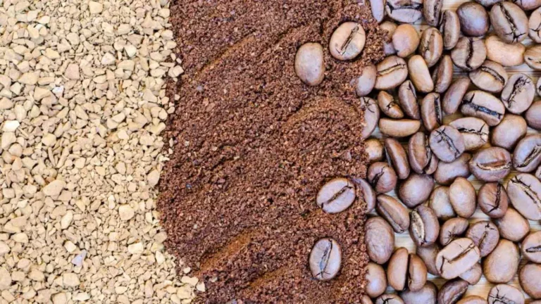 Acordo Mercosul-União Europeia Beneficia Agronegócio Brasileiro de Forma Significativa