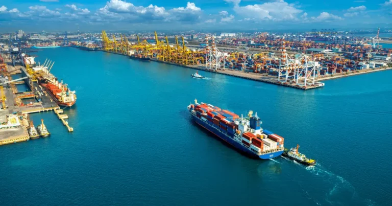 Análise do Cenário Internacional: A Nova Perspectiva do Agronegócio Brasileiro