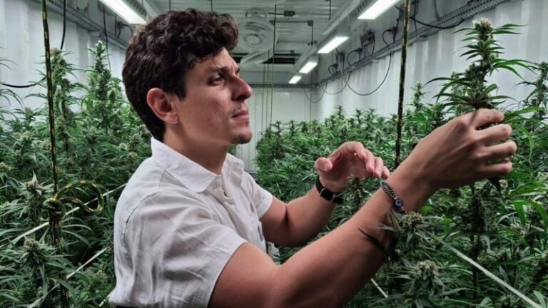 Avanços na Regulamentação da Cannabis Medicinal: Expectativas em Pernambuco