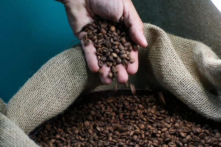 Café Se Mantém como Principal Produto Exportado do Agronegócio Capixaba em 2025