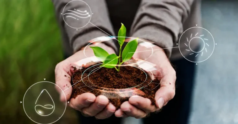 COP30 Destaca o Agronegócio Brasileiro na Agenda Climática Global