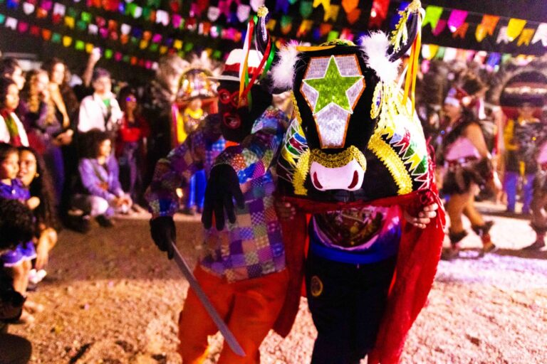 Cultura Negra em Movimento: Celebração da Ancestralidade e Diversidade Afro-Brasileira no DF