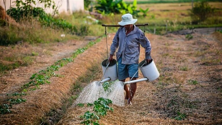 Desafios do Produtor Rural em um Agronegócio em Alta Desafios do Produtor Rural em um Agronegócio em Alta