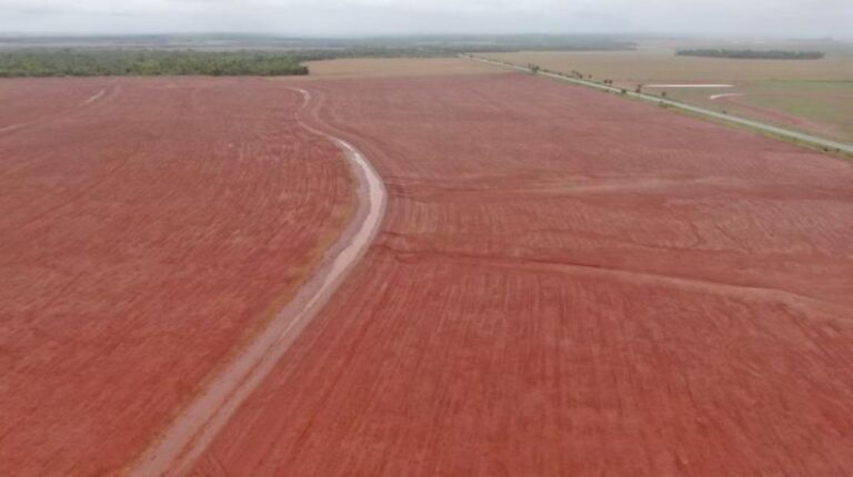 FCO Destina R$ 3,2 Bilhões em Mato Grosso do Sul: 75% Para o Agronegócio