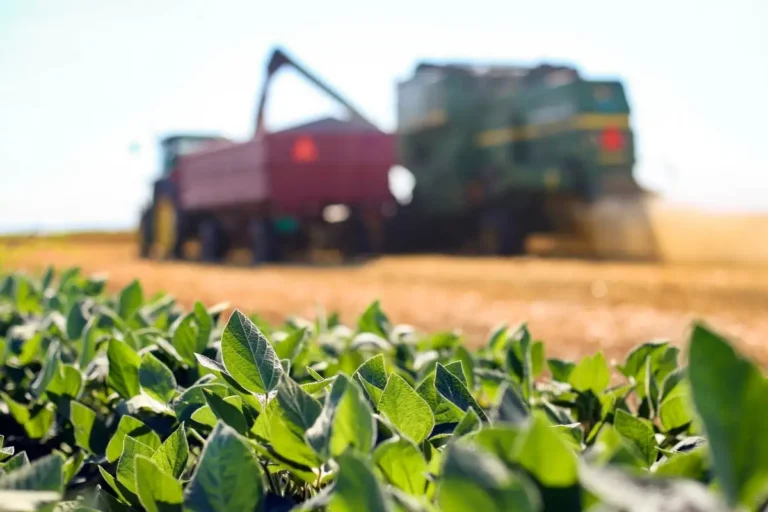 Impacto das Novas Taxas dos EUA no Agronegócio Brasileiro: Uma Ameaça Imediata Impacto das Novas Taxas dos EUA no Agronegócio Brasileiro: Uma Ameaça Imediata