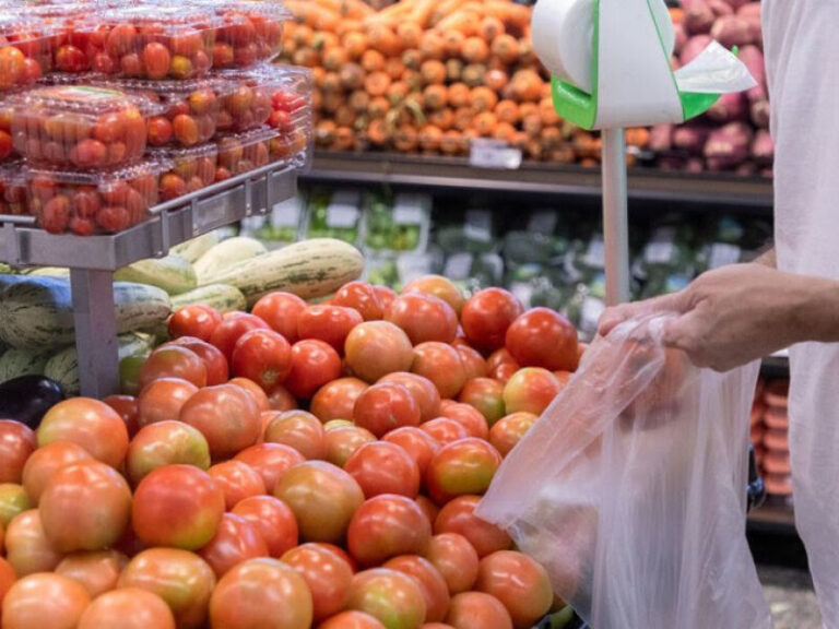 Queda de 6,51% na Cesta Básica em Recife: Impacto Econômico no Segundo Semestre de 2025 Queda de 6,51% na Cesta Básica em Recife: Impacto Econômico no Segundo Semestre de 2025