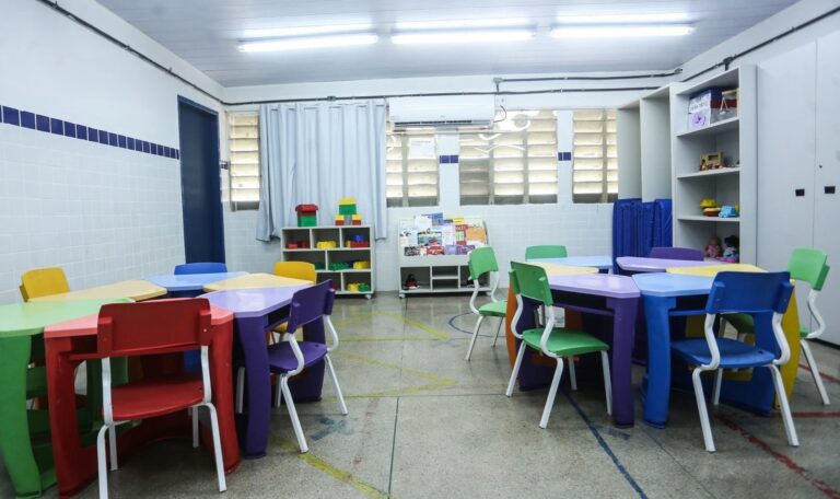 Reconhecimento da Educação Infantil no Magistério: Avanços e Desafios