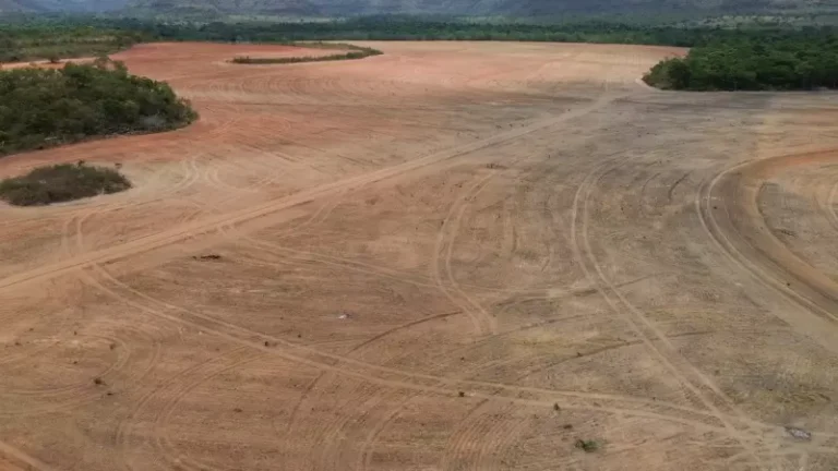 Saída da Abiove da Moratória da Soja: Um passo atrás no combate ao desmatamento na Amazônia