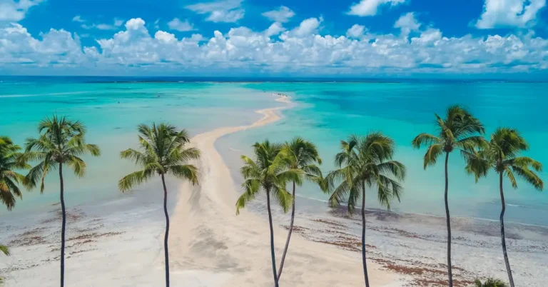 7 Praias Imperdíveis em Maragogi para Explorar