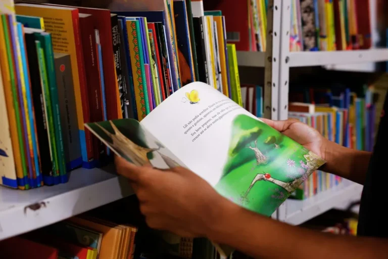 Educação no Brasil: Entenda sua História, Sistema e Desafios Educação no Brasil: Entenda sua História, Sistema e Desafios