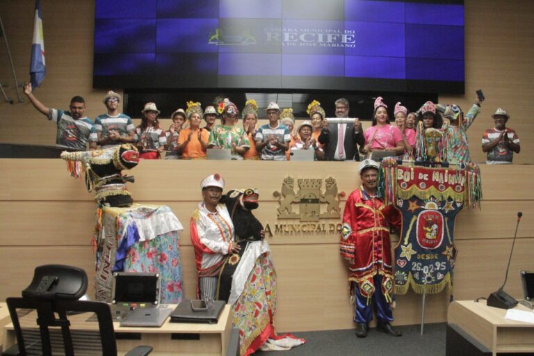 Grupo Boi de Mainha: Patrimônio Cultural Imaterial do Recife