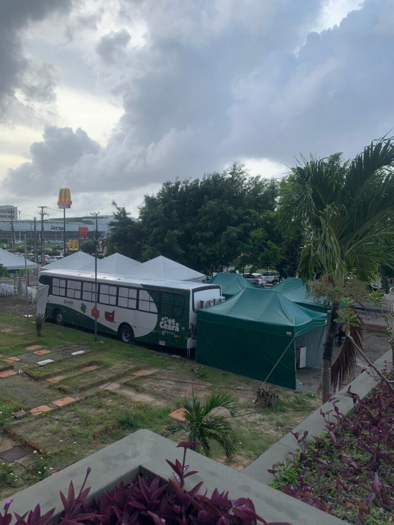 Parceria UNI7 e Secretaria de Proteção Animal: Pet Móvel em Luciano Cavalcante