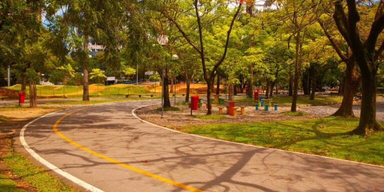 Recife se destaca com cinco vezes mais árvores do que o recomendado, reduzindo temperatura em 3°C