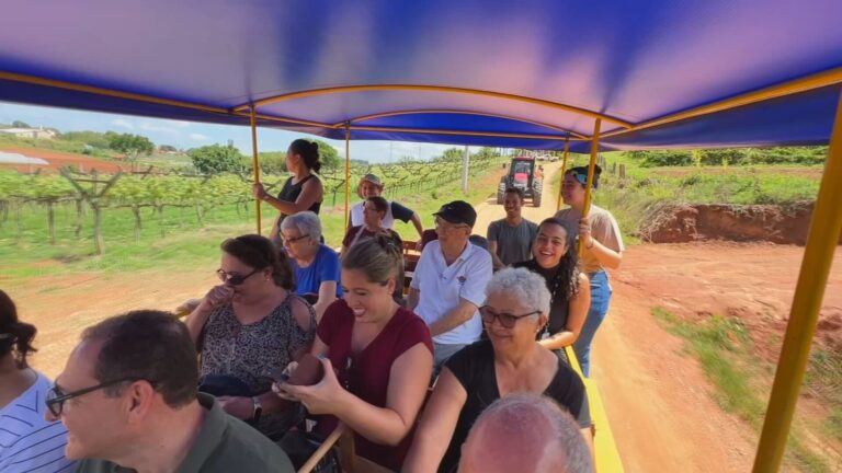 Turismo Rural: A Conexão entre o Campo e a Cidade que Gera Renda