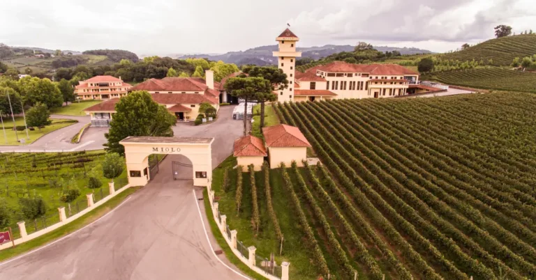 5 Vinícolas Imperdíveis na Serra Gaúcha para Conhecer em 2024