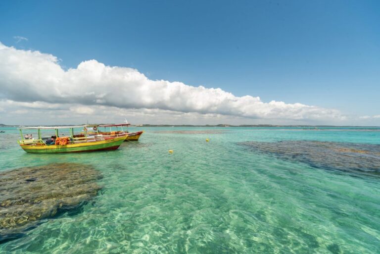 As 3 Praias Brasileiras com Águas Transparentes que Superam o Caribe As 3 Praias Brasileiras com Águas Transparentes que Superam o Caribe