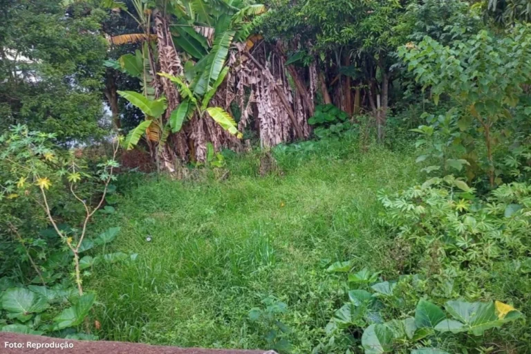 Conselheiro Lafaiete Intensifica Fiscalização em Mais de 4 Mil Lotes Irregulares