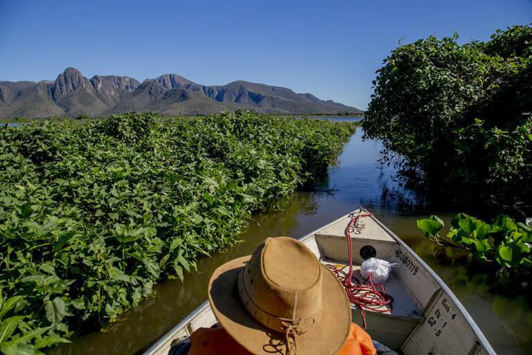 Corumbá Realiza 64ª Reunião do Conselho Municipal de Turismo com Foco no Futuro