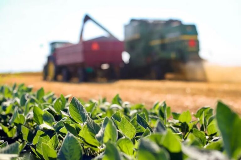 Crescimento de 56,4% em Pedidos de Recuperação Judicial no Agronegócio em 2025