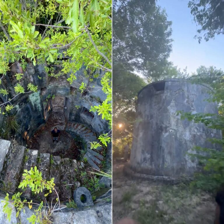 História do Moinho de Vento das Mercês na Ilha de Itaparica: Um Patrimônio Histórico