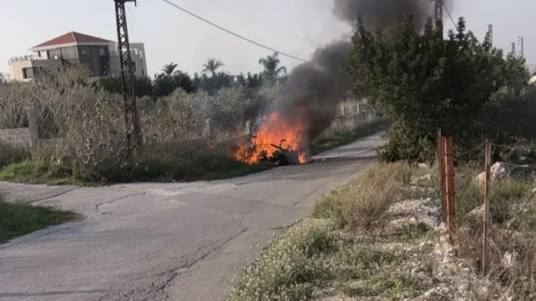 Líbano Acusa Israel de 'Ecocídio' com Uso de Glifosato e Denuncia na ONU