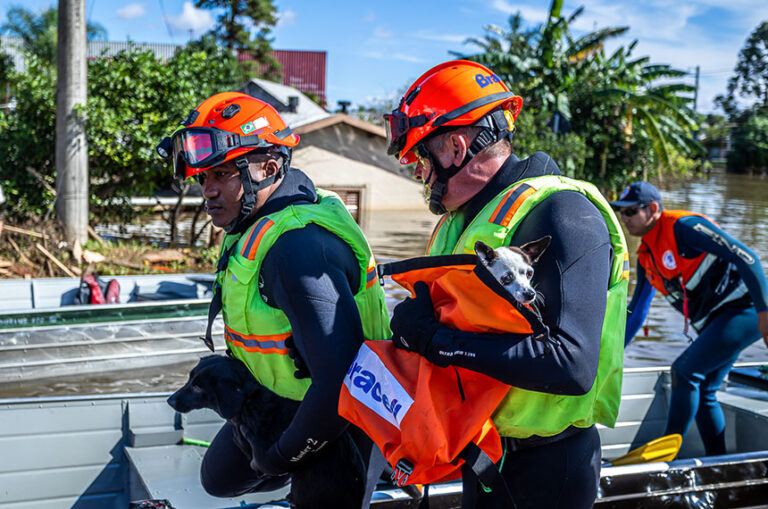 Nova Lei de Proteção a Animais em Desastres: O que Muda na Política Nacional?