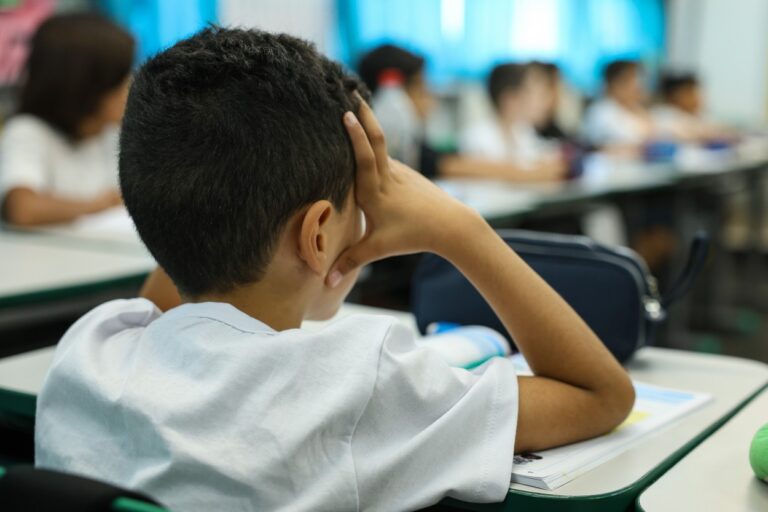 Novo Plano Nacional de Educação: Desafios e Expectativas para o Futuro Novo Plano Nacional de Educação: Desafios e Expectativas para o Futuro