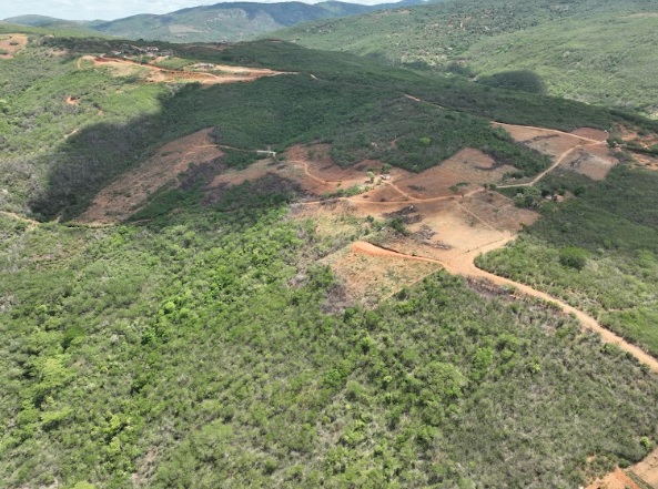 Pernambuco lidera combate ao desmatamento: mais de 2.600 hectares embargados na Caatinga Pernambuco lidera combate ao desmatamento: mais de 2.600 hectares embargados na Caatinga