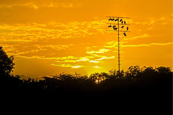 Previsão do Tempo para o Outono de 2026 no Grande Recife e Pernambuco Previsão do Tempo para o Outono de 2026 no Grande Recife e Pernambuco