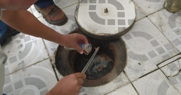 Secretaria de Saúde de Maceió Reforça Orientações sobre Picadas de Escorpião