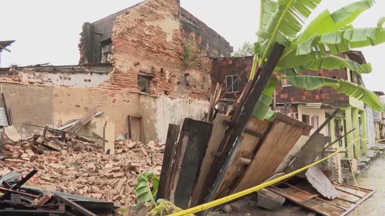 Casarão Desaba no Recife Após 20 Anos de Ocupação Irregular; Cachorrinha é Resgatada Casarão Desaba no Recife Após 20 Anos de Ocupação Irregular; Cachorrinha é Resgatada