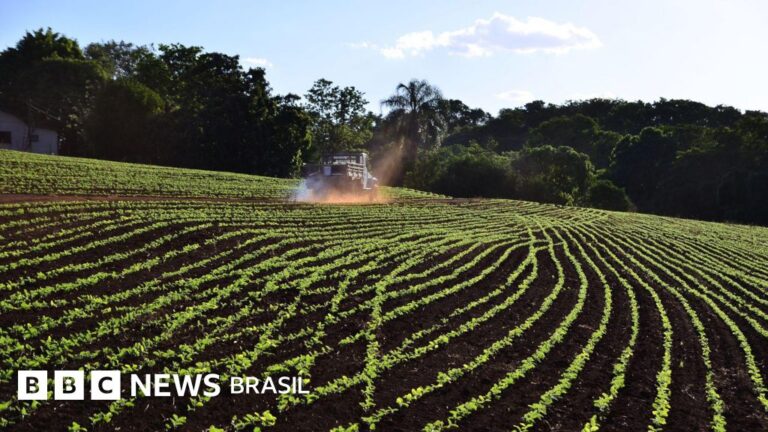 Conflito no Irã: Impactos Diretos no Agronegócio Brasileiro