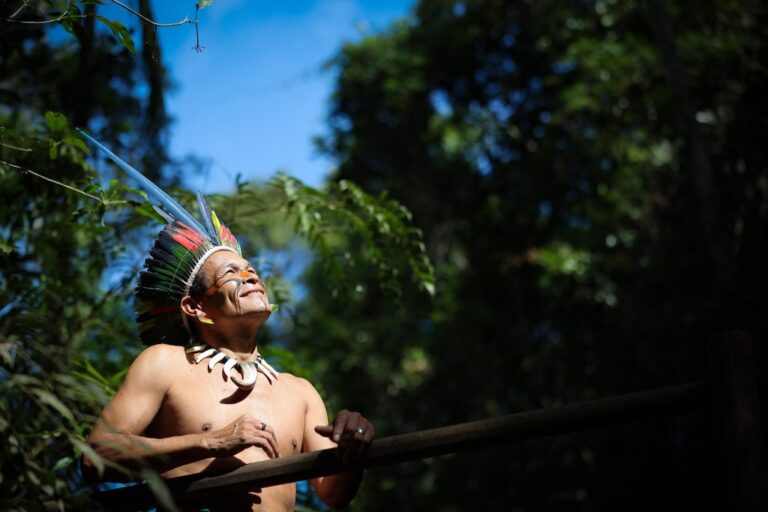 Descubra 16 Aldeias Indígenas no Estado de SP Para uma Imersão Cultural