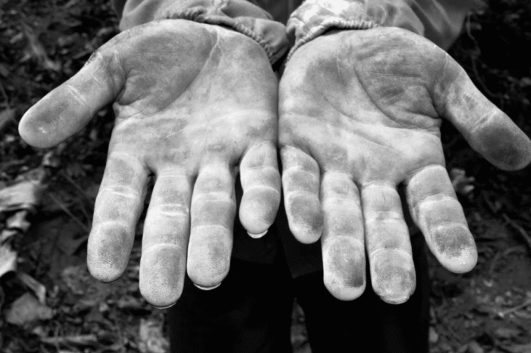 Premiação de Fotografia em Pernambuco Reconhece Talentos em 2025