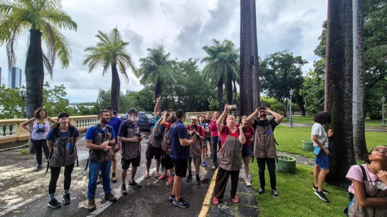 Recife Recebe o Avistasse?!: Um Marco para o Turismo de Observação de Aves