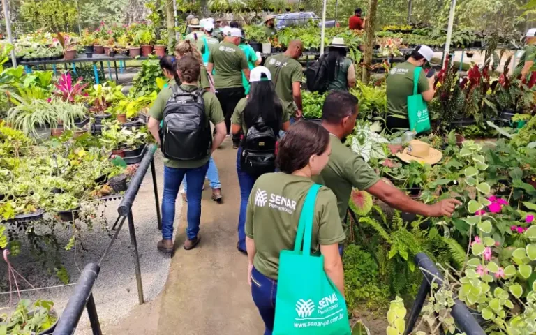 Senar-PE Lança Seleção com 180 Vagas para Cursos Técnicos Gratuitos em Pernambuco