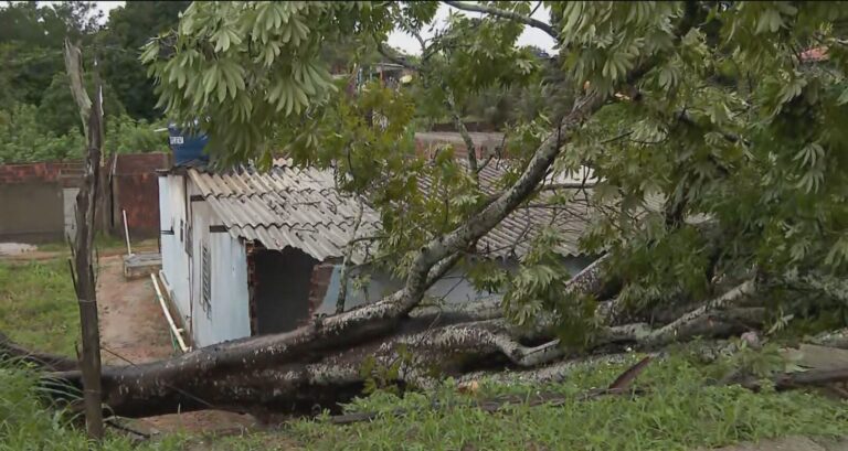 Tempestade no Grande Recife Causa Tragédias e Alagamentos Generalizados Tempestade no Grande Recife Causa Tragédias e Alagamentos Generalizados