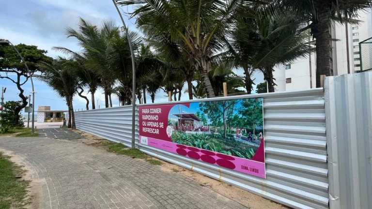 Parques do Recife: Gestão Privada ou Interesse Público?