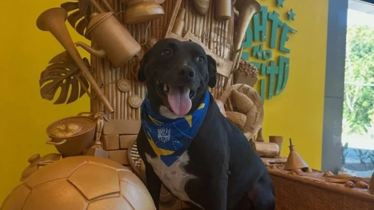 PJ, o mascote oficial da Seleção Brasileira: a nova estrela da Granja Comary