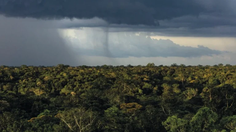 Mudanças Climáticas e Desmatamento Ameaçam Regime de Chuvas na Amazônia até 2050