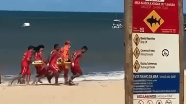 Criança de 11 anos é atacada por tubarão em praia de Pernambuco: entenda o estado de saúde e riscos