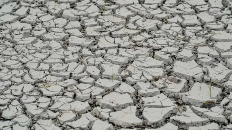 El Niño: ONU prevê intensificação com impacto global em 2024