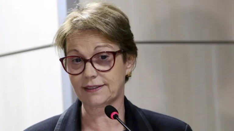 Argentina solicitará autorização para visita de Milei a Bolsonaro e gera debate institucional
